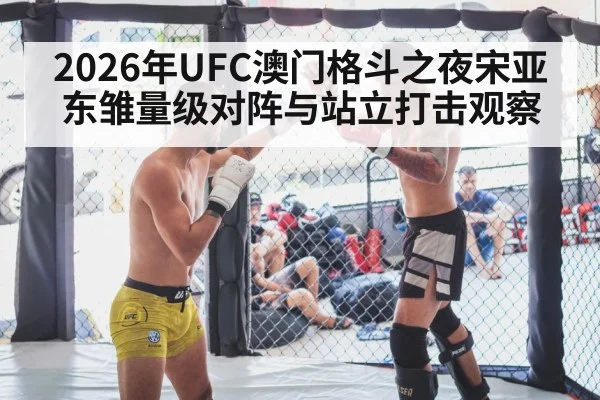 MMA fighter striking in cage